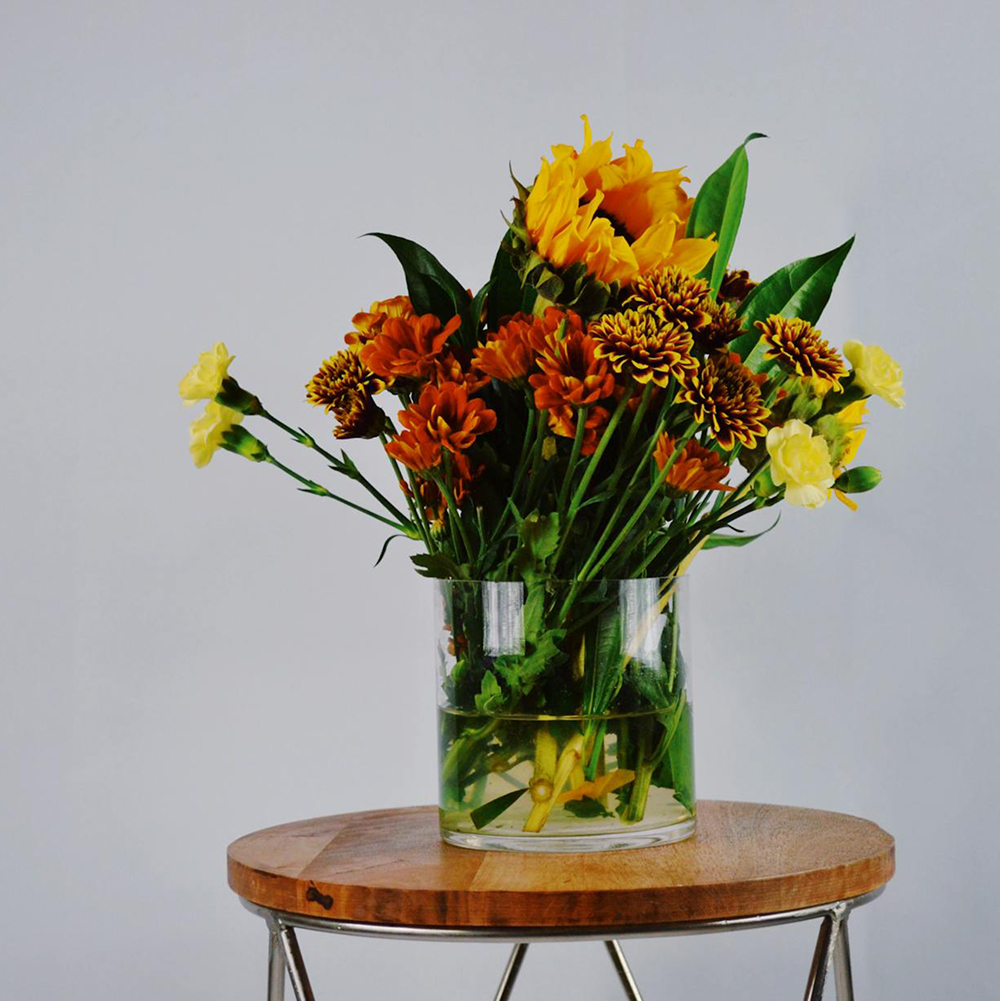 Bloom.02