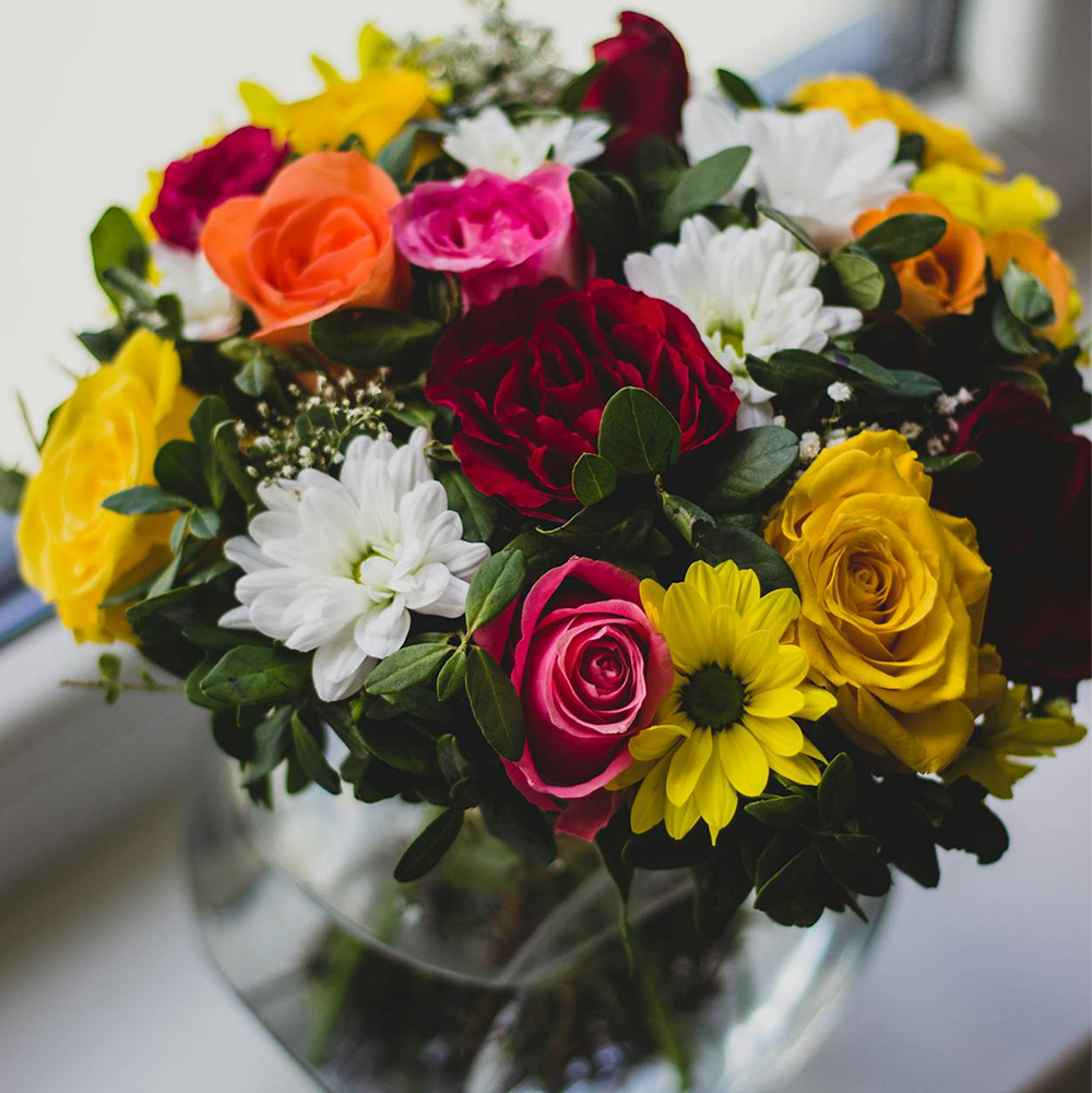 Bloom.04